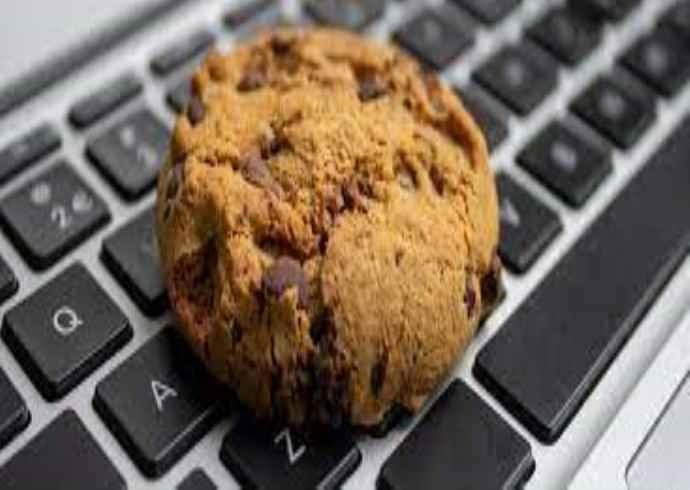What is the purpose of cookies on websites?