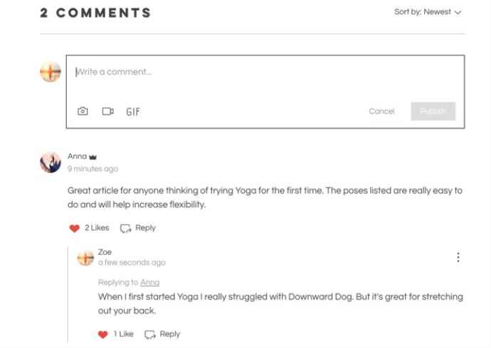 What is a blog comment?