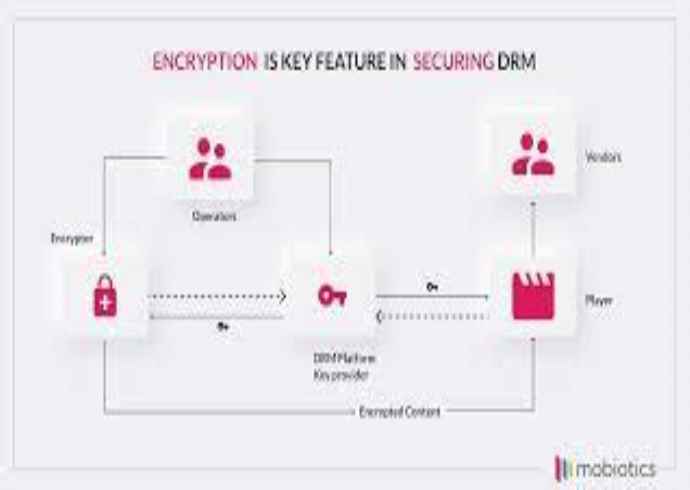 What is a digital rights management system?