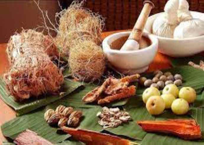 What is the traditional Indian system of medicine known as?