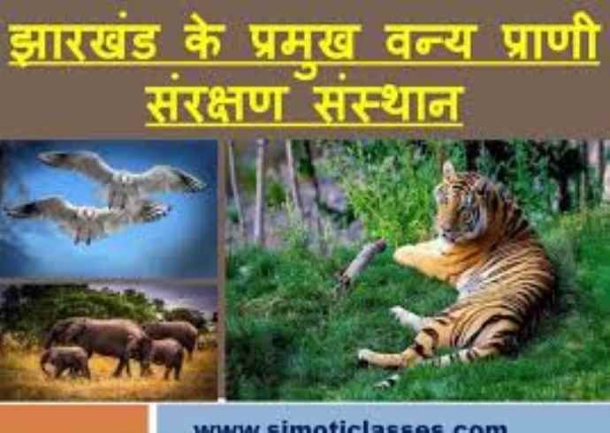 भारतीय संस्कृति में वन्यजीवों का संरक्षण क्यों महत्वपूर्ण है?