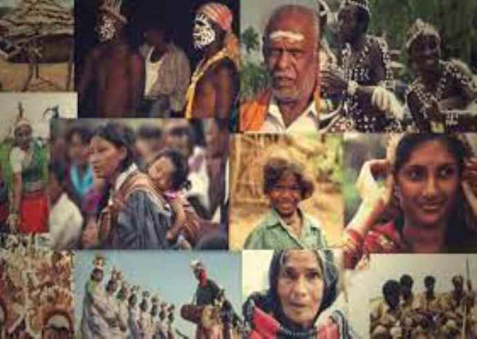 भारतीय संस्कृति में जनजातियों का क्या महत्व है?