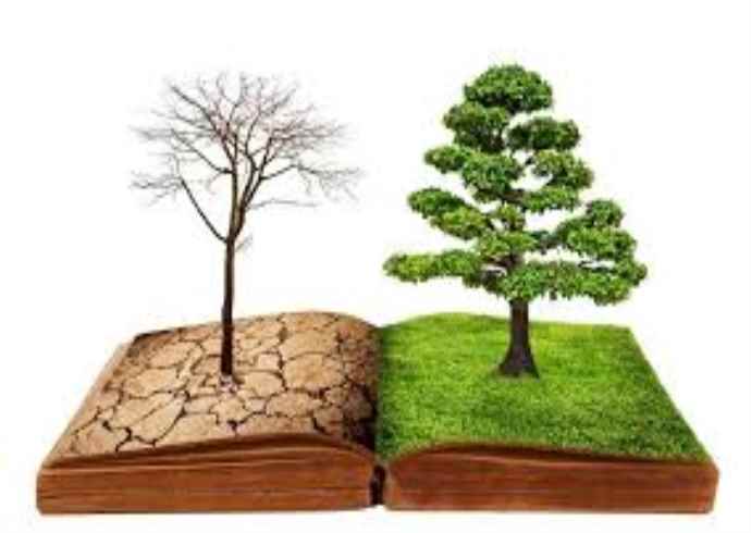 भारतीय संस्कृति में वनस्पतियों का और प्राकृतिक संसाधनों का क्या महत्व 