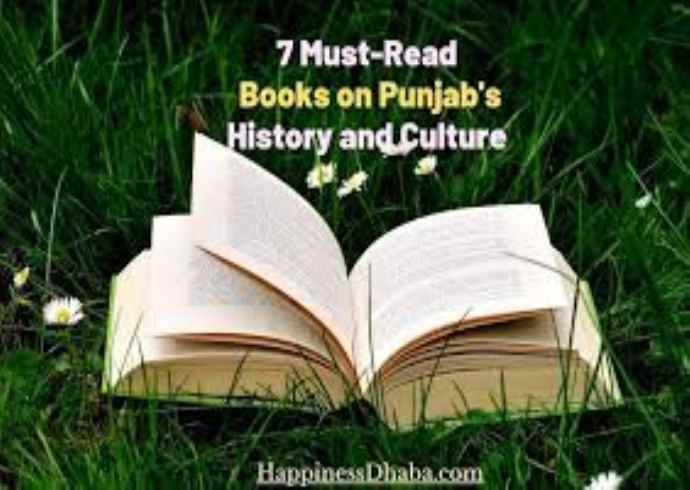 Can you explain the cultural importance of the Punjabi language