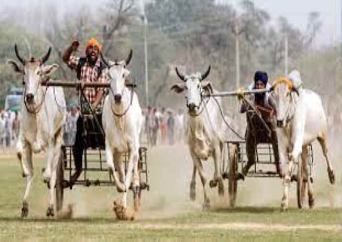 What are the traditional Punjabi games and sports