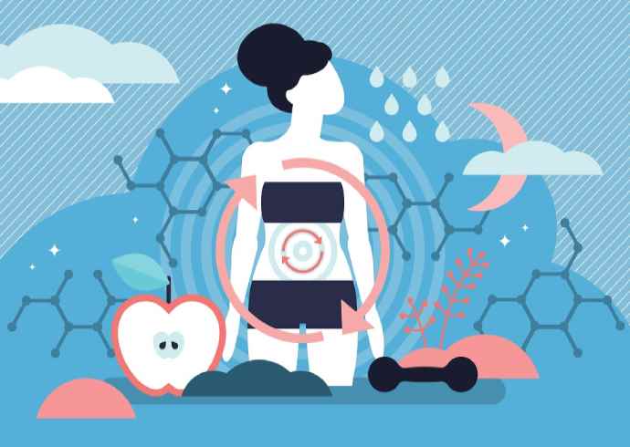 What is Metabolism and How Its Work in hindi